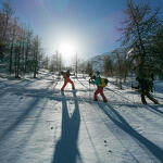 splitboard - Up Guides