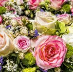 © Quatre Roses à Modane - Pixabay