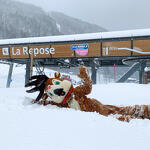 © Rencontre avec Timo - HMV