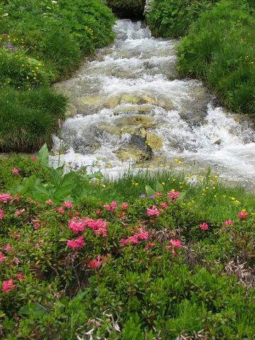 Ruisseau dans le vallon de l&#039;Orgère à Villarodin-Le Bourget - O.T. La Norma VLP