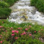 Ruisseau dans le vallon de l&#039;Orgère à Villarodin-Le Bourget - O.T. La Norma VLP