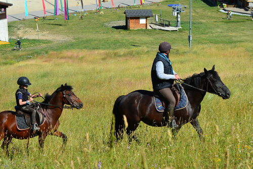 Balades à cheval