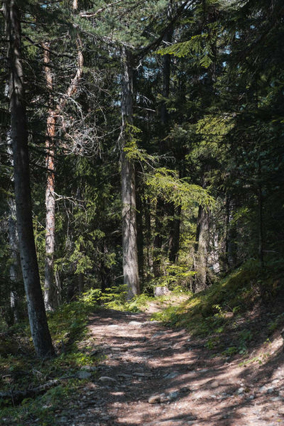© Sentier du périmètre - CCHMV APN