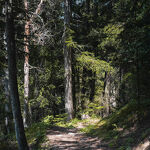 © Sentier du périmètre - CCHMV APN