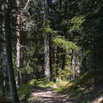 © Sentier du périmètre - CCHMV APN