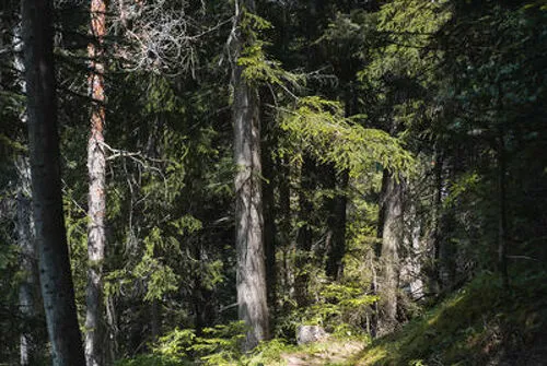 Sentier du Périmètre à pied