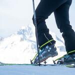 © Cosy Race à La Norma - OTHMV - J.Cathala