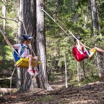 © Forêt de balançoires La Norma - HMVT - D Cuvelier