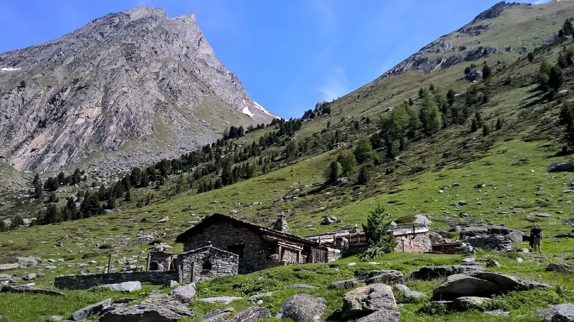 © Sentier Découverte de l'Orgère - Office de Tourisme HMV