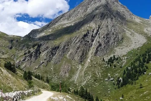 Trail en immersion dans le vallon de l'Orgère