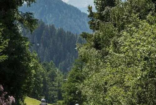 VTT Enduro  : L'Avalanche