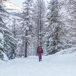 © Balade en raquettes à La Norma - B.Filliol - OTHMV