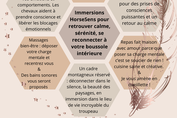 © Immersions HorseSens_Villarodin-Bourget - Laura Bellissand