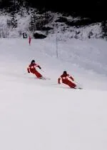 Demonstration by French Ski School instructors