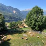 © Ateliers Poneyssori à La Norma - L.Bellissand