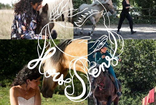 Immersions HorseSens