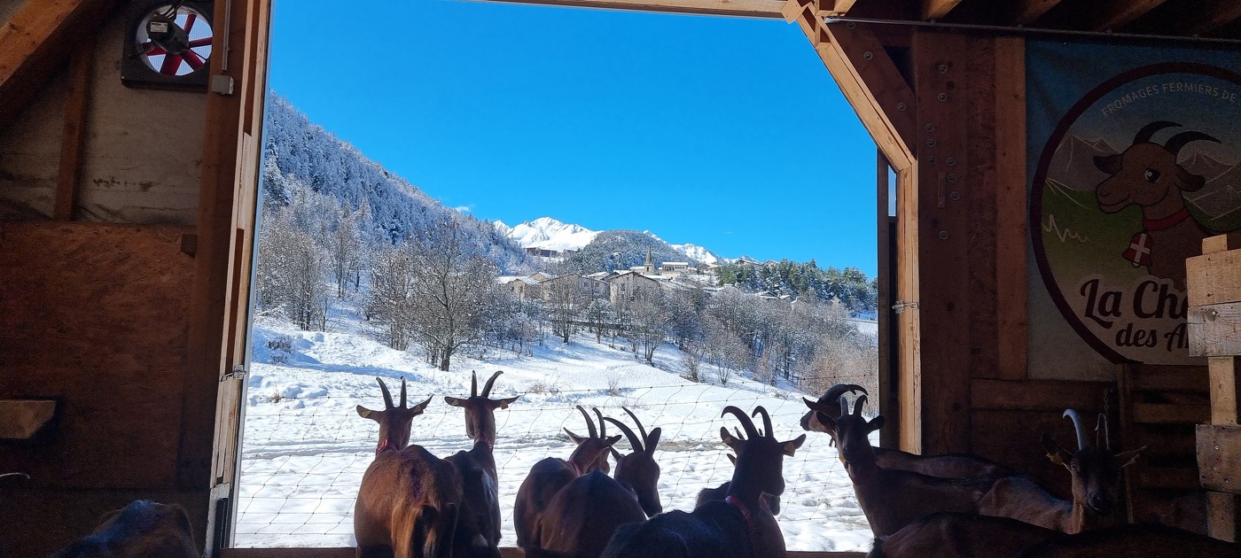 © Chèvrerie des Arcosses - La chèvrerie des arcosses