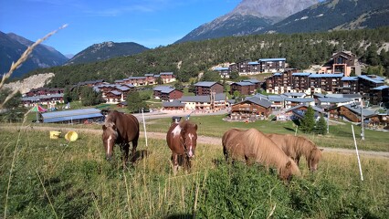 © Balade à cheval à La Norma - OTHMV