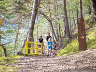 © Rando sur Le Chemin du Petit Bonheur à La Norma - D.Cuvelier - OTHMV