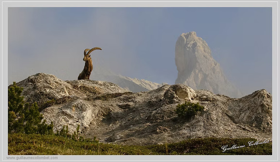 Schermen voor buiten - IBEX