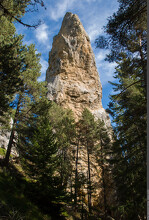 Les secrets de la forêt du Monolithe