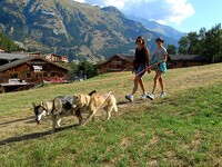© Trott Husky_La Norma - Trott Husky