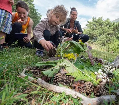 Kunst en natuur