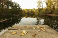 © Raft building_La Norma - Freepik