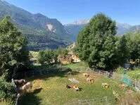 Ponymotions workshops at La Norma - L.Bellissand