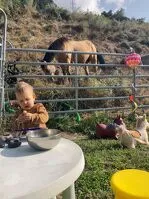 Ponymotions workshops at La Norma - L.Bellissand