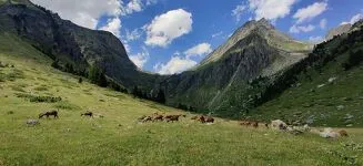 © Chèvrerie des Arcosses - The Arcosses goat farm