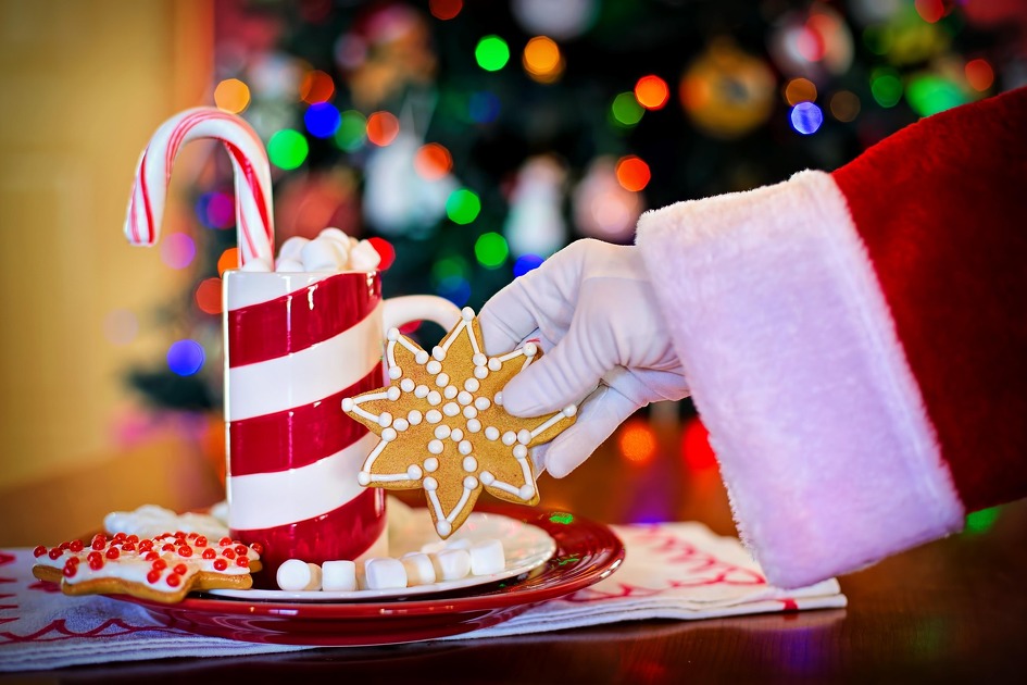 © Décoration de biscuits de Noël_La Norma - Pixabay