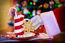 © Décoration de biscuits de Noël_La Norma - Pixabay