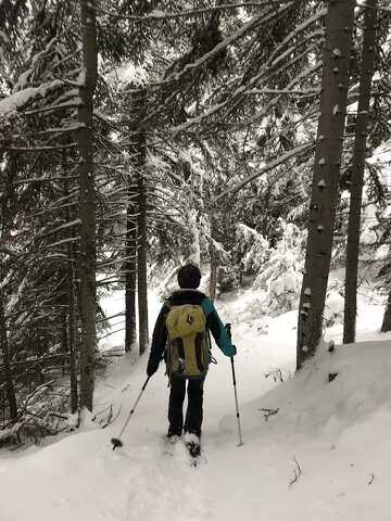 © Balades en raquettes avec Les rando du Lavvu à La Norma - Sandrine Moreau