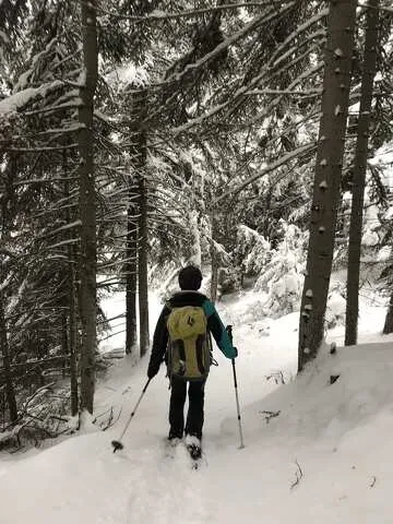 © Balades en raquettes avec Les rando du Lavvu à La Norma - Sandrine Moreau
