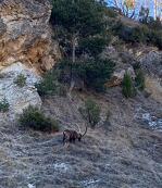 © Découverte de la faune sauvage_La Norma - s.moreau