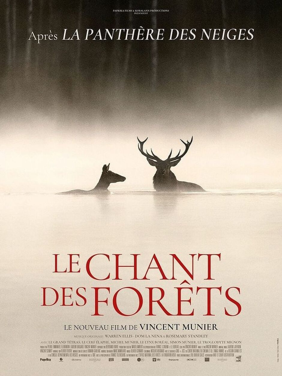 © Projection : Le chant des forêts_Val-Cenis - Allociné