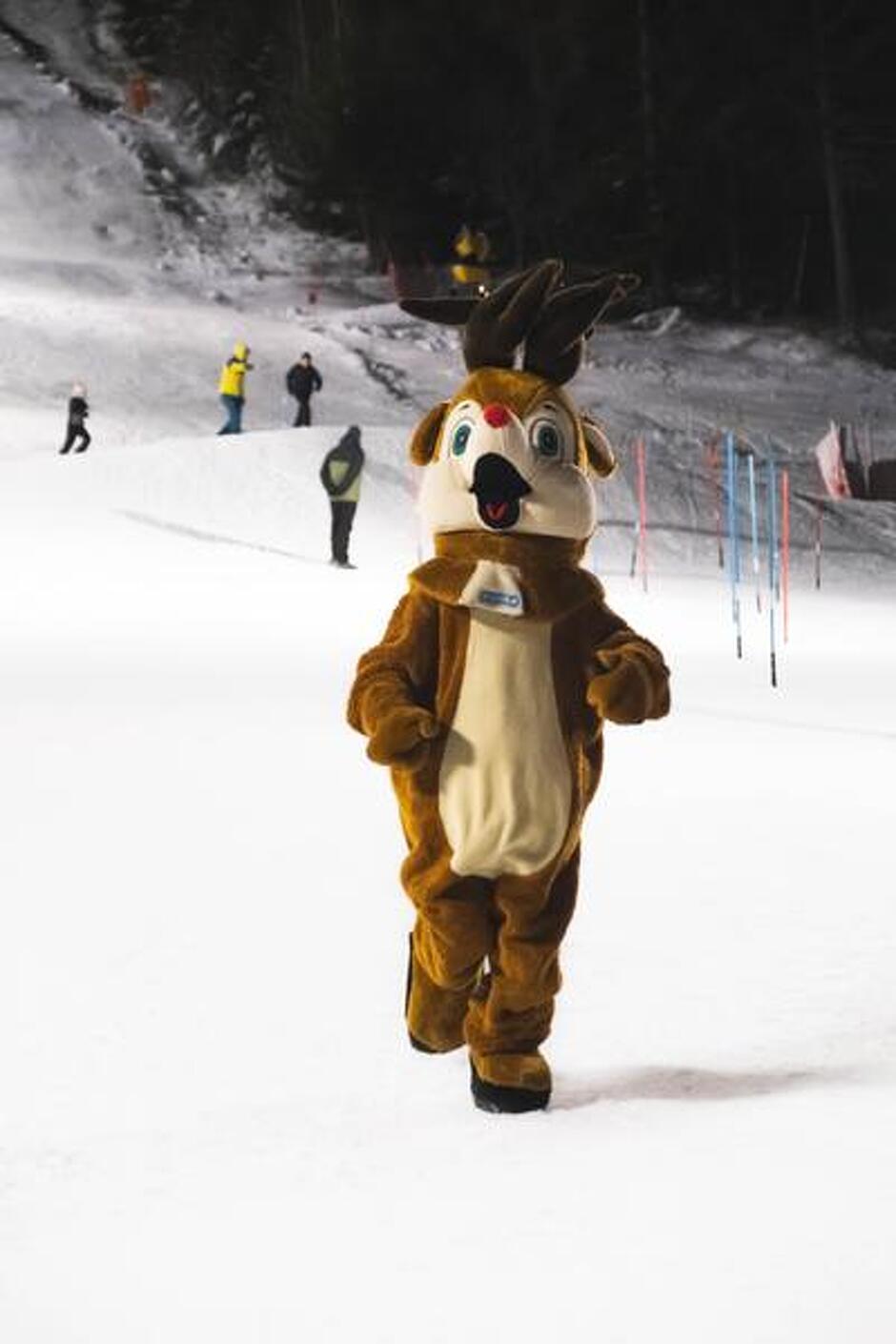 © Trouvez Timo !_La Norma - OTHMV-G.Lavila