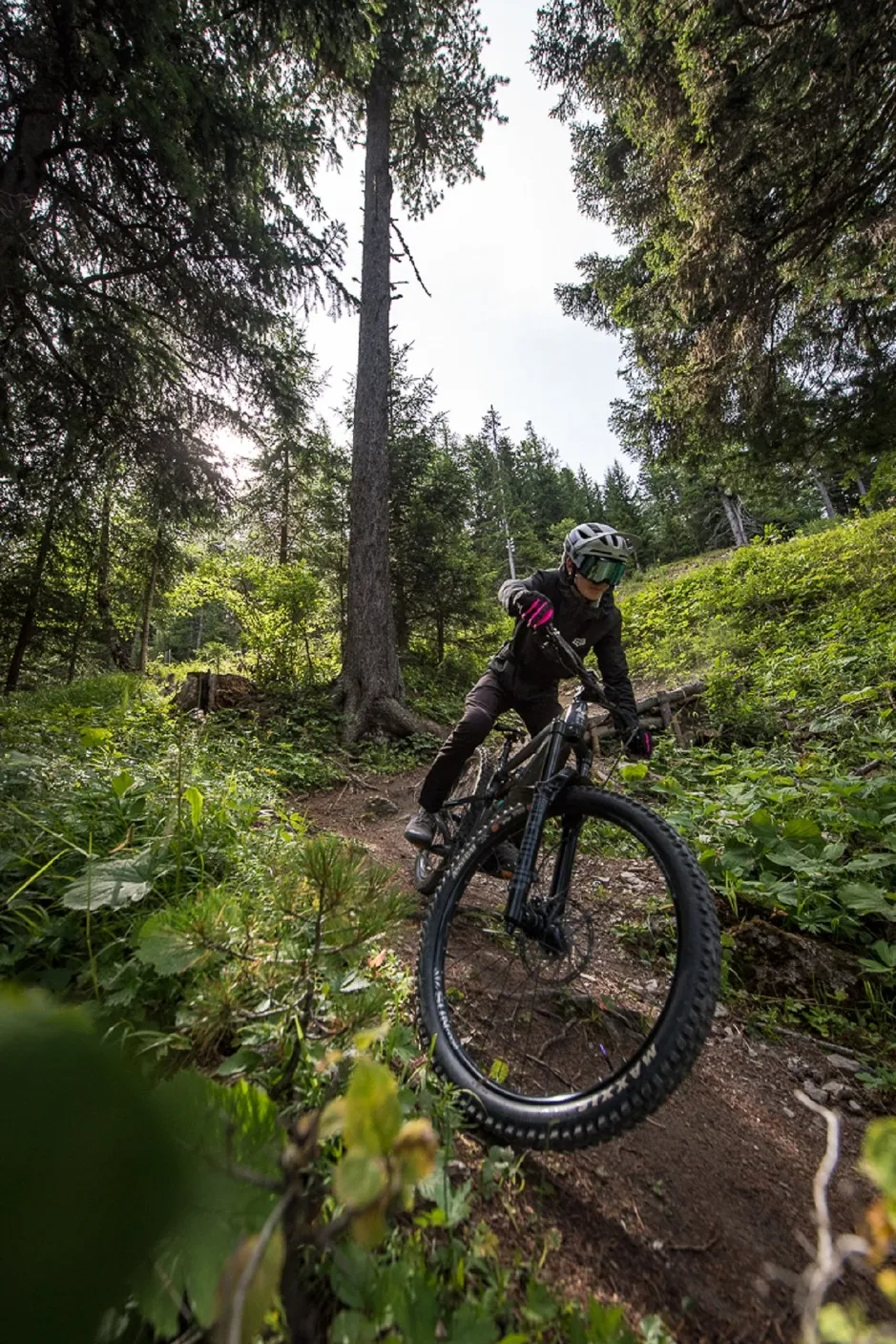 © Enduro MTB: La Sapinette - In Pernet