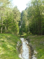 © Balade nature Bien -être avec Estelle Dehan - Estelle Dehan