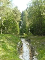 © Well-being Nature Walk with Estelle Dehan - Estelle Dehan