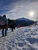 © Balade sophro nature avec Estelle Dehan - Estelle DEHAN