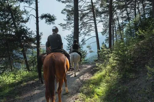 Horseback riding