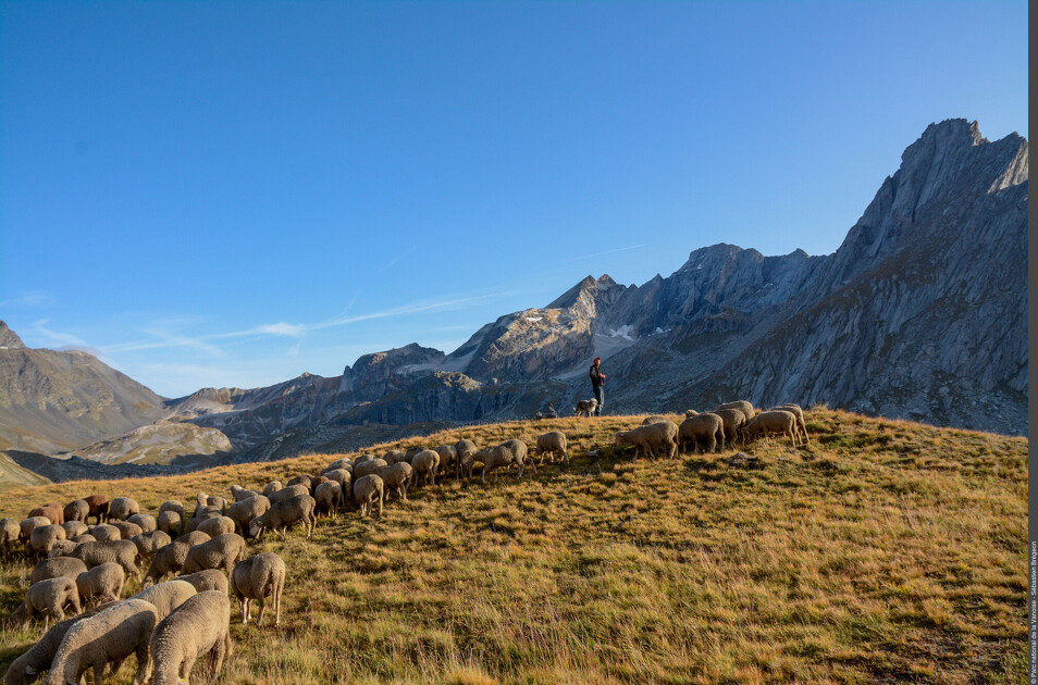 © Rencontres pasto_Aussois - PNV