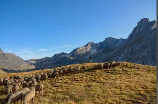 Rencontres pasto