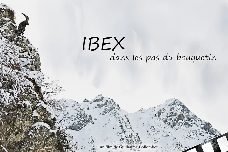 © Outdoor Screening - Ibex: In the Footsteps of the Ibex_La Norma - Guillaume Collombet