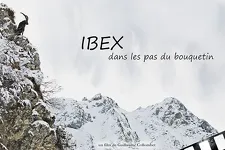 © Outdoor Screening - Ibex: In the Footsteps of the Ibex_La Norma - Guillaume Collombet