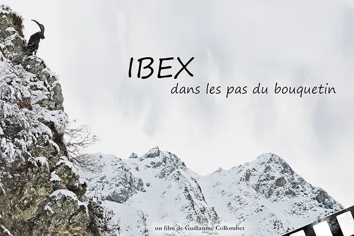 Outdoor Screening - Ibex: In the Footsteps of the Ibex