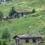 Immersion in Vallon de l'Orgère - VLP