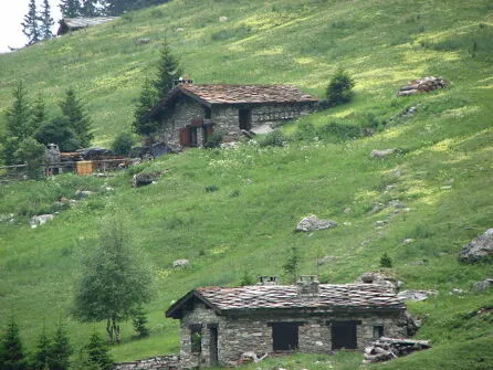 Immersion in Vallon de l'Orgère